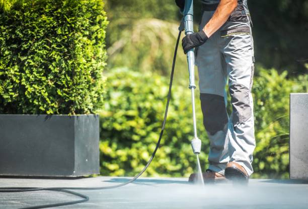 Best Fence Cleaning  in Moweaqua, IL