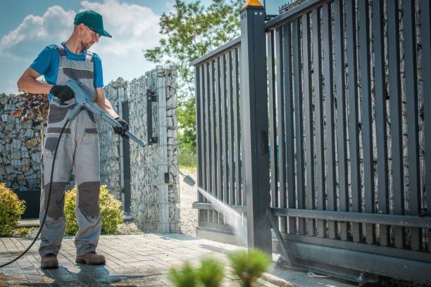 Best Pre-Holiday Cleaning  in Moweaqua, IL